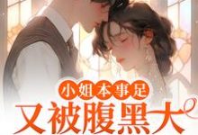 免费看小姐本事足,又被腹黑大律师娇宠了小说的网站有哪些?-经典文学