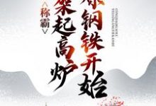 称霸：从架起高炉冶炼钢铁开始 林云林无月，称霸：从架起高炉冶炼钢铁开始章节在线阅读-经典文学