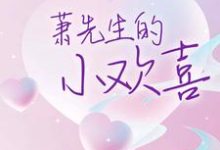 许菀萧靖川是哪本书的主角？寻找萧先生的小欢喜免费阅读-经典文学