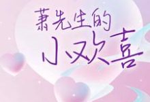 萧先生的小欢喜小说全文哪里可以免费看?-经典文学