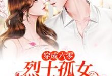 小说《穿成六零烈士孤女,开局闪婚军官》章节免费阅读-经典文学