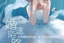小说《婚途陌路》在线章节阅读-经典文学