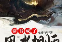 穿书成了风水相师他师父 李天一叶倩倩小说大结局免费试读-经典文学