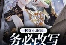 小说《书穿小炮灰,务必改写好结局》章节免费阅读-经典文学