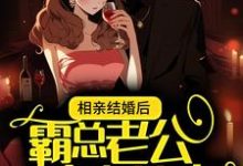小说《相亲结婚后,霸总老公实力护妻》在线章节阅读-经典文学