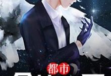 求推荐可以免费阅读都市全能仙医小说的网站-经典文学