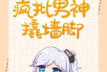 已完结小说《快穿:总有疯批男神撬墙脚》最新章节-经典文学