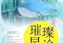 小说《璀璨星途》章节免费阅读-经典文学