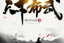 天下布武这本小说怎么样?免费在线阅读试试-经典文学