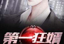 想读秦天的故事，哪里可以免费找到第一狂婿？-经典文学