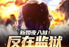 新婚夜入狱！反在监狱成大佬小说，新婚夜入狱！反在监狱成大佬在线阅读-经典文学