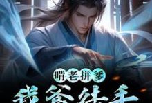 《啃老拼爹！我爹徒手撕虚空》全集免费在线阅读（陈霄韩清婉）-经典文学