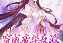 寻找能够免费阅读穿成废柴反派,我狂撩女主小说的平台-经典文学