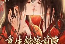 重生错嫁前晚，我找上前夫他爹小说无弹窗阅读的网站推荐-经典文学