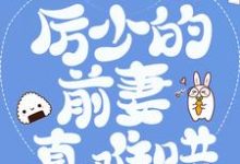 豪门弃妇：厉少的前妻真难哄小说的免费电子版在哪里可以下载或阅读？-经典文学