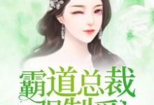 霸道总裁强制爱免费阅读,霸道总裁强制爱章节目录-经典文学