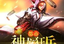 主角叶飞苏语晴司徒长风小说都市神龙狂兵免费阅读-经典文学