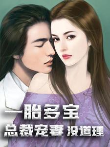 一胎多宝：总裁宠妻没道理小说，一胎多宝：总裁宠妻没道理最新章节
