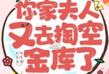 主角妖月夜星晨小说王爷！你家夫人又去掏空金库了免费阅读-经典文学