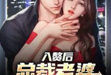 入赘后，总裁老婆心爱白月光（肖南沈叶）在线免费阅读-经典文学