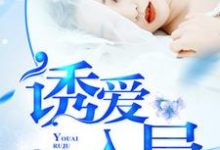 男女主人公江澜灯楚驿北苏澈小说诱爱入局章节免费阅读-经典文学