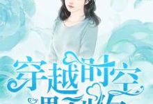 穿越时空遇到你辛叶梓李世吴楠小说大结局免费试读-经典文学