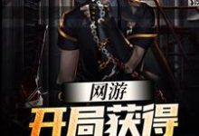 苏九夜小说叫什么（网游：开局获得SSS级天赋免费阅读）-经典文学