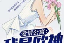 哪里能找到爱情公寓：我是欧神小说的全部章节？-经典文学