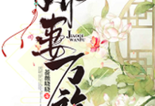 娇妻万福小说,娇妻万福章节在线阅读-经典文学