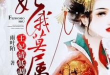 妃你莫属:王妃,请低调安汐司腾夜安毅小说免费阅读-经典文学
