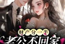 小说《财产分一半,老公不回家?这好事啊》在线章节阅读-经典文学