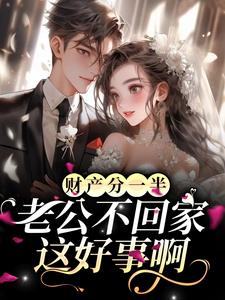 小说《财产分一半，老公不回家？这好事啊》在线章节阅读
