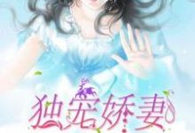 独宠娇妻最新章节,独宠娇妻章节在线阅读-经典文学