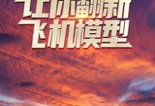 让你翻新飞机模型，你却打造幽灵战机？最新章节，让你翻新飞机模型，你却打造幽灵战机？免费阅读-经典文学