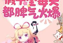 《快穿:假千金每天都脾气火爆》小说主角言之之宁安安章节章节免费在线阅读-经典文学