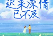慕晚晚霍靖琛徐慧敏的故事在哪本书里？免费阅读迟来深情已不及-经典文学