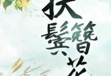 扶鬓簪花小说完结版章节免费阅读-经典文学