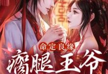 谢暖云哲小说叫什么（命定良缘：瘸腿王爷实力宠免费阅读）-经典文学