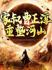 家叔曹正淳，重整河山小说完结版章节免费阅读