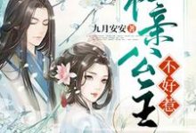 撩君心：和亲公主不好惹主角洛云夕君子诺南弦魏冬青小说完结版章节在线阅读-经典文学