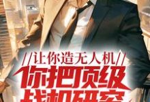 让你造无人机，你把顶级战机研究出来了？小说无弹窗阅读的网站推荐-经典文学