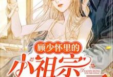 小说《顾少怀里的小祖宗又撒野了》章节阅读-经典文学
