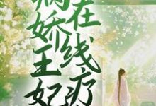小说《新婚夜，病娇王妃在线疗伤》章节免费阅读-经典文学
