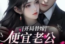 已完结小说《开局替嫁，便宜老公身份不一般》在线章节阅读-经典文学
