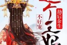 完结版《劫后余生：这个王妃不好宠》章节阅读-经典文学