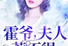 顾安霍辰东小说在哪里可以看-经典文学