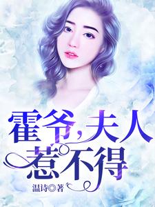 顾安霍辰东小说在哪里可以看