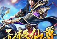 已完结小说《无极仙尊》章节在线阅读-经典文学