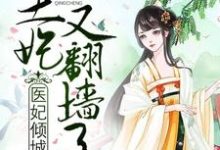 主角叫叶落瑾顾南轩的小说在哪阅读-经典文学
