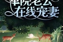 七零:揣崽后,军院老公在线宠妻免费阅读,七零:揣崽后,军院老公在线宠妻程月陆凛睿-经典文学